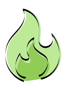 coal burn